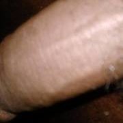 Profile Picture of Sam Bing (@sam.bing.792) on Myspace