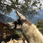 Jeff Yost - Instagram Profile Picture of Jeff Yost (@yostinho) on Instagram