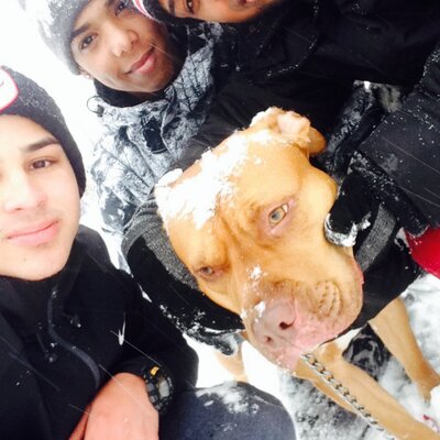 Profile Picture of Jayson Mojica (@@jay_pr21) on Twitter