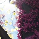 Profile Picture of mrozekmitchell (@mrozekmitchell) on Instagram