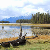 Profile Picture of Paula James (@pjjames100) on Youtube