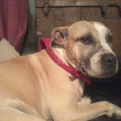 Profile Picture of Kim Burt (@kimburt8484) on Youtube