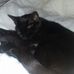 Profile Picture of Sarah Coulton (@sarah.coulton.56) on Facebook