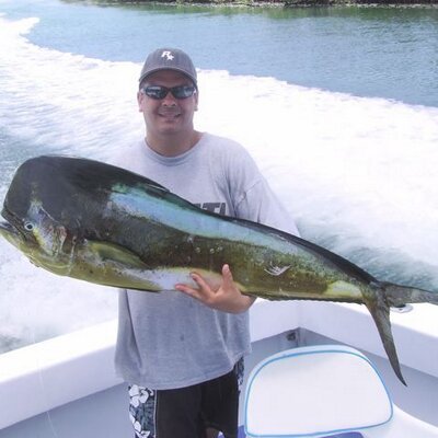 Profile Picture of Matthew Grecoon Twitter