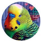 Profile Picture of Содержание Попугаев (@tosha_green_parrot) on Instagram