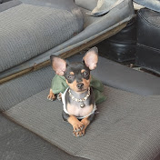 Profile Picture of Josefa Santos (@josefasantos-r2q) on Youtube