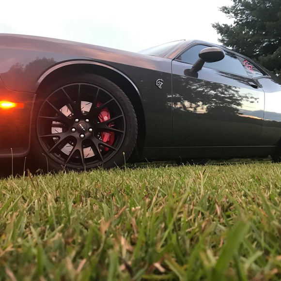 Profile Picture of Cameron Thames (@driftingbobcat) on Poshmark