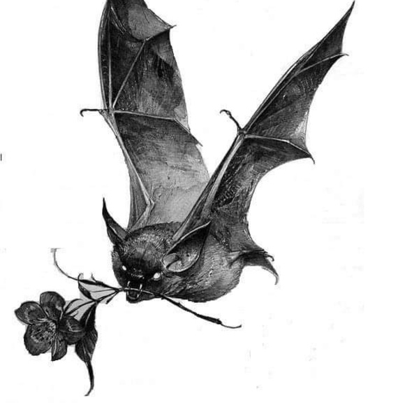 Profile Picture of Kevin Arpin (@karpin10) on Poshmark