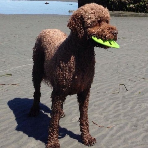 Profile Picture of Janet Bayda (@janetbayda) on Poshmark