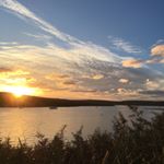 Adam Drayton - Instagram Profile Picture of Adam Drayton (@adamdrayton14) on Instagram