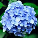 Profile Picture of Lambert Winston (@lambert.winston) on Instagram