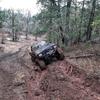 Profile Picture of Steven Herring (@@dirtysnapper541) on Tiktok
