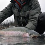 Profile Picture of Campbell Blair (@61.1northak) on Instagram