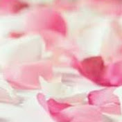 Profile Picture of Josefina Luis (@josefinaluis5334) on Youtube