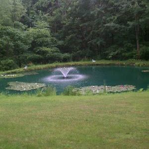 Profile Picture of Danielle Pouliotte (@@daniellepouliotte) on Tiktok