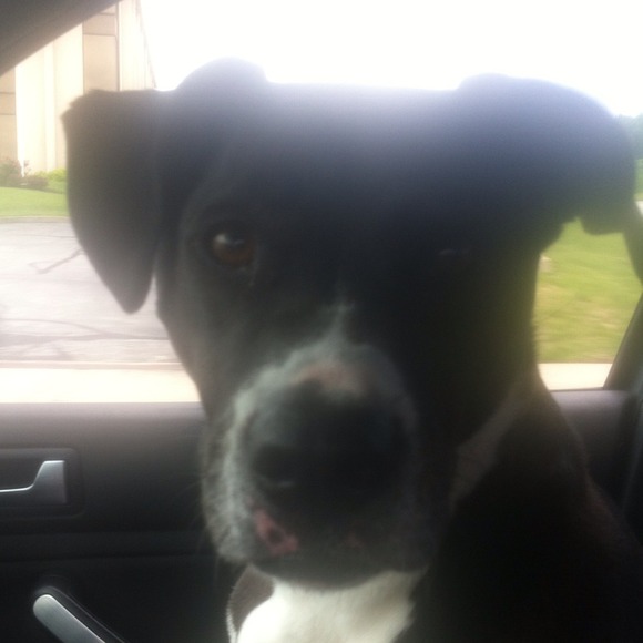 Profile Picture of Andrea Jerome (@amj1006) on Poshmark