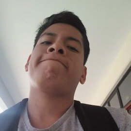 Profile Picture of Bryan Lozano Anaya (@rlozanoanaya1) on Twitter