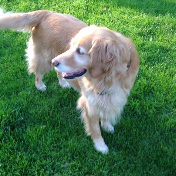 Profile Picture of Mary Dupon (@mbdupon) on Poshmark