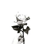 Profile Picture of 김수민 (@joppop0006) on Instagram