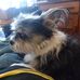 Profile Picture of Gregory Barry (@gregory.barry.967) on Facebook