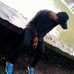 Profile Picture of Vishaĺ Chawla (@vishal.chawla.9083) on Facebook