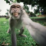 Profile Picture of Davide Santoro (@siciliano_itinerante) on Instagram