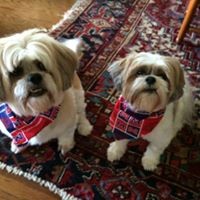 Profile Picture of George Gillespie Jr. (@george-gillespie-jr) on Quora