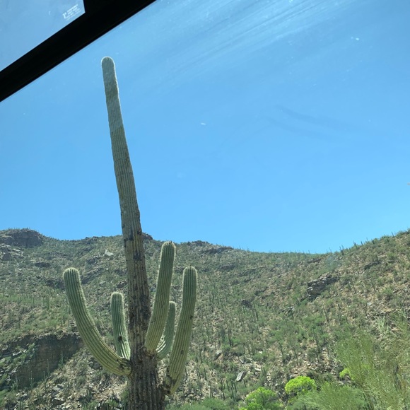 Profile Picture of Cam Miele (@cameron_miele) on Poshmark