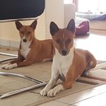 Profile Picture of Brigitte Scheckenbach (@brigitte.scheckenbach) on Instagram