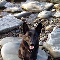 Profile Picture of Trudi Smith (@trudi-smith-6) on Quora