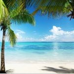 Profile Picture of Lisa Pawluk (@motherlisa8) on Instagram