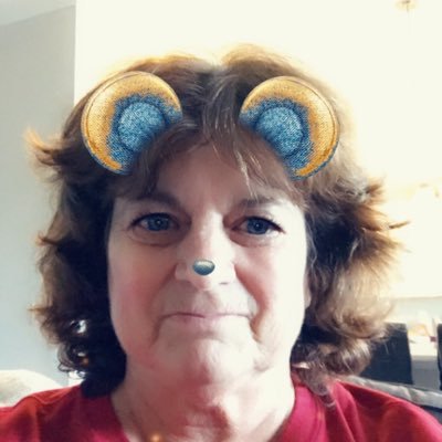 Profile Picture of Vickie Elliott (@ELLteach) on Twitter