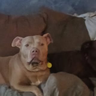 Profile Picture of Jim Recker (@jim_recker) on Instagram