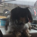 Profile Picture of Ron In A Van (@ronblevins) on Instagram