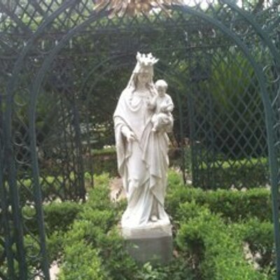 Profile Picture of Aaron Palomares (@AaronPalomares) on Twitter