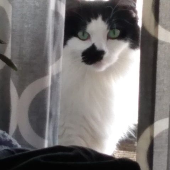 Profile Picture of Kimi Bohunicki (@kimimememom74) on Poshmark