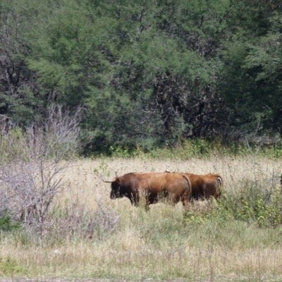 Profile Picture of Benigno Perez Lizaur (@XalpaBperez) on Twitter