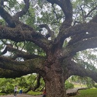 Profile Picture of Daniel Santi (@daniel-santi-3) on Quora