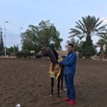 Profile Picture of احمد رحال (@ahmad_rahal3) on Instagram