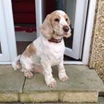 Profile Picture of Deborah Walsh (@walshgtr) on Instagram