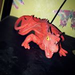 Profile Picture of jerry pleasure island dragon (@jerry_dragon_1992) on Instagram