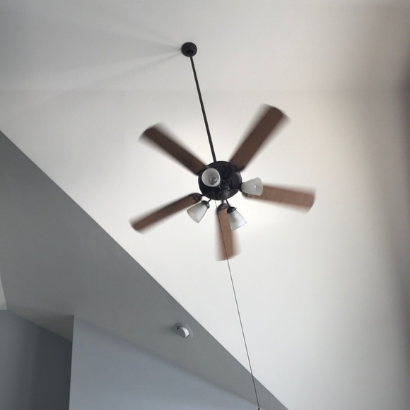 Profile Picture of Sofia Genovesi (@sofiagenovesi) on Poshmark