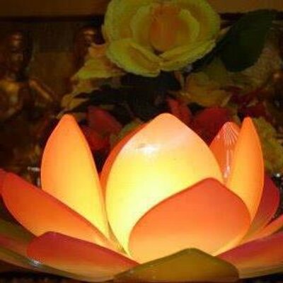 Profile Picture of Yasmine (@DorisBach1) on Twitter