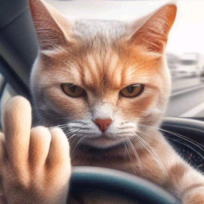 Profile Picture of GaryKoh (@garykoh91) on Tiktok