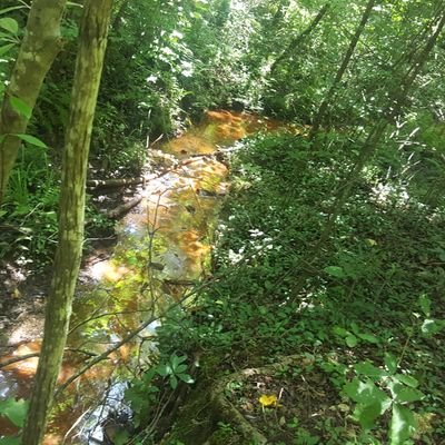 Profile Picture of Christopher James (@Christo22461887) on Twitter