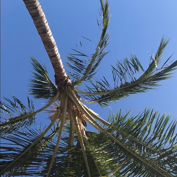 Profile Picture of Isabella Rongione (@irongione) on Poshmark