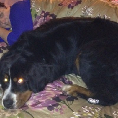 Profile Picture of Stuart Bishop (@wbooltyreplus) on Twitter