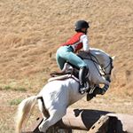 Profile Picture of tina leet || 🇺🇸/🇸🇪 (@ecl.equine) on Instagram