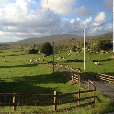 Profile Picture of Bryan McFadyen (@Bryanmcf) on Twitter