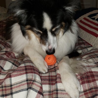 Profile Picture of Crystal  Ragan (@CrystalRagan) on Twitter